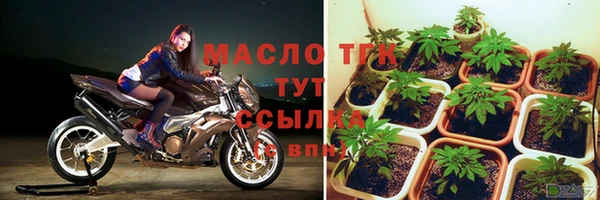 мдпв Верхний Тагил